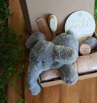 Coffret cadeau naissance unisexe - Éléphant